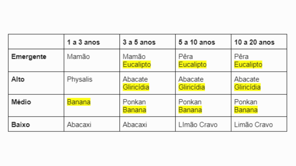 Tabela de Estratos e Sucessão Agrofloresta com Foco em Frutas