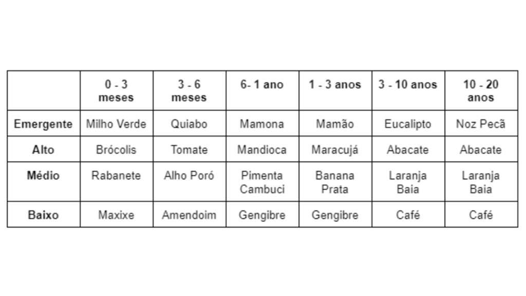 Tabela de Sucessão e Estratos desta Agrofloresta com as Culturas Rentáveis